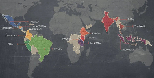 The History of Arabica Coffee's Spread (Part 1) : How Typica Spread Across the World