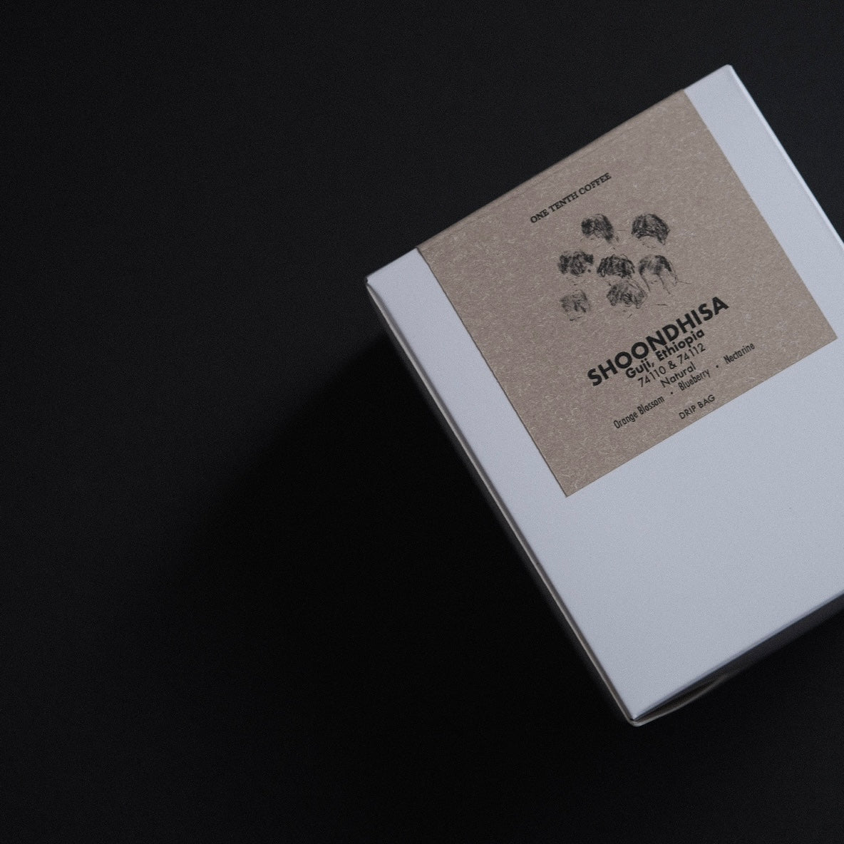 Shoondhisa, Ethiopia