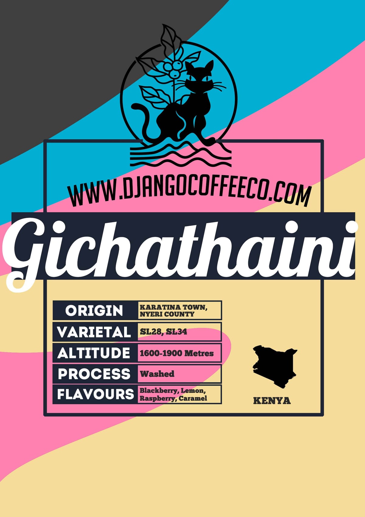 Kenya Gichathaini