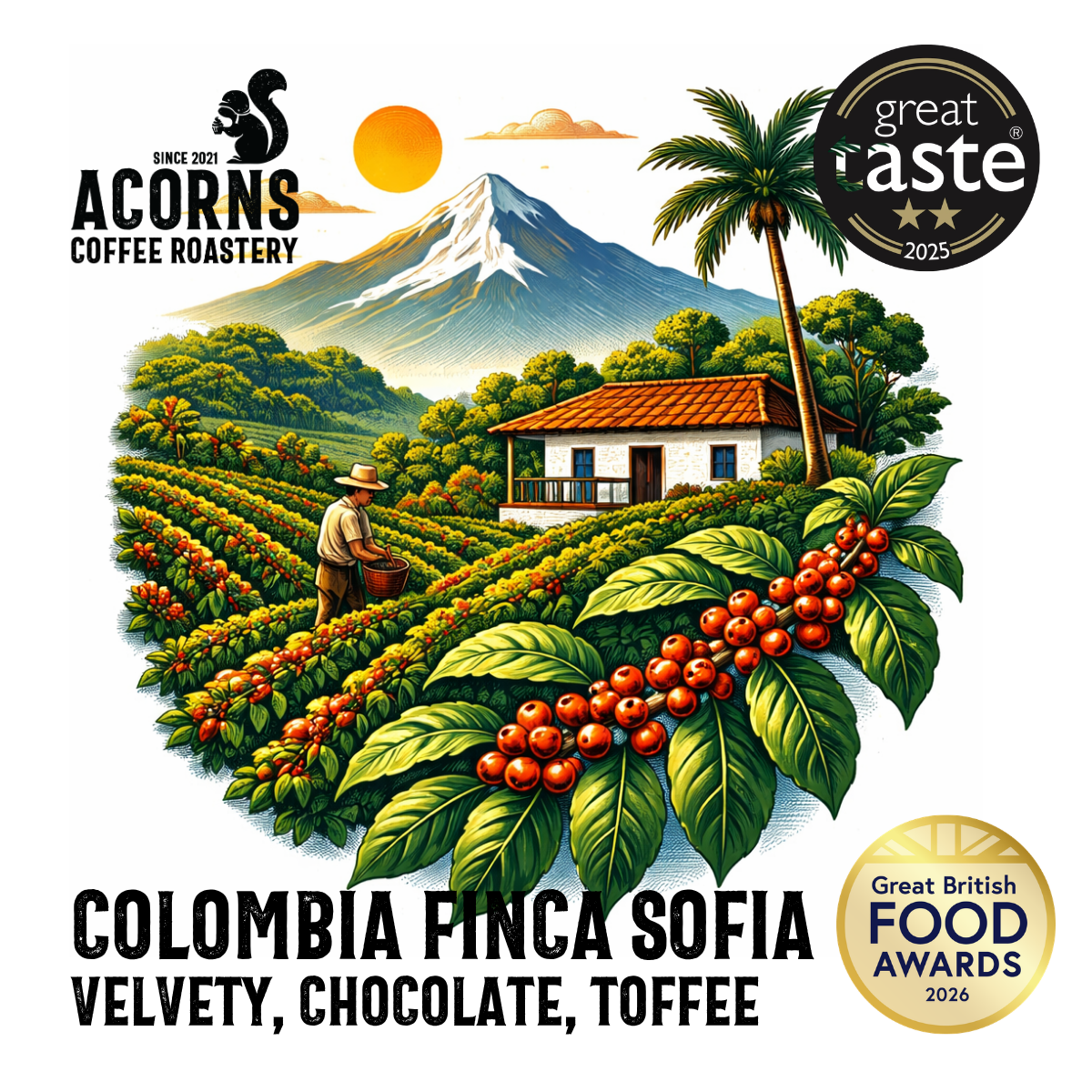 Colombia Finca Sofia