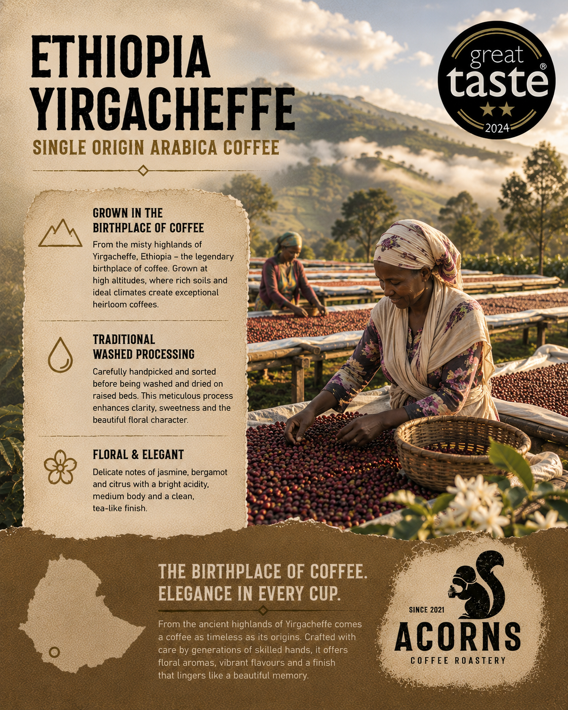 Ethiopian Yirgacheffe Medium Roast