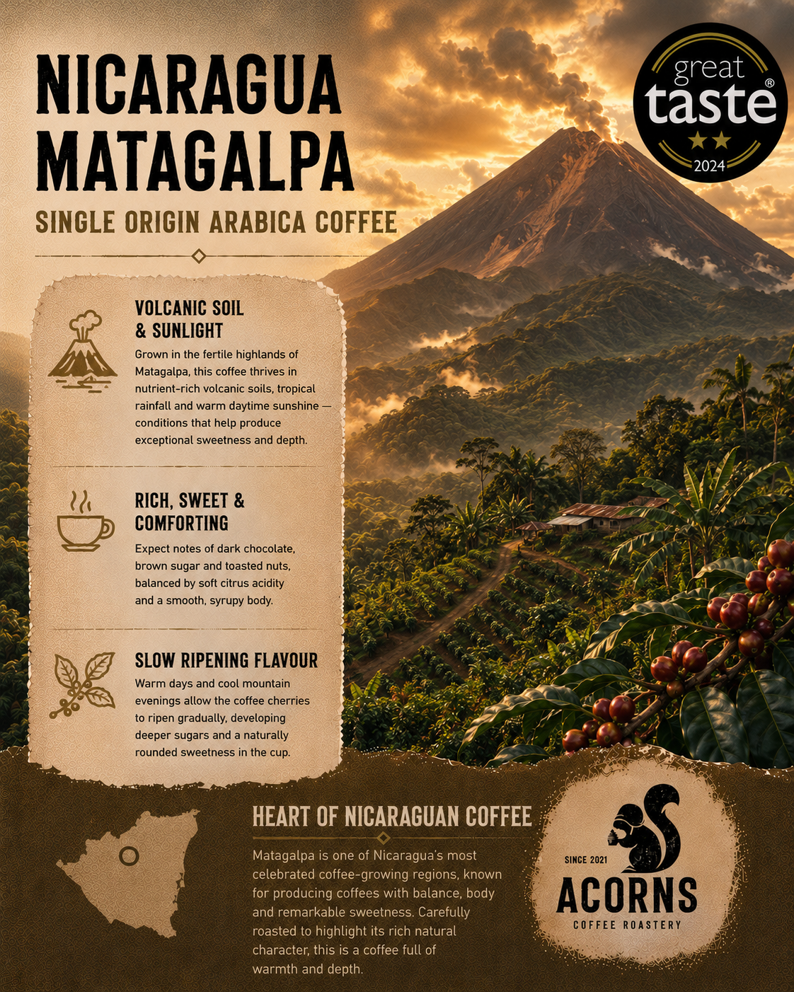 Nicaragua Matagalpa Medium Roast