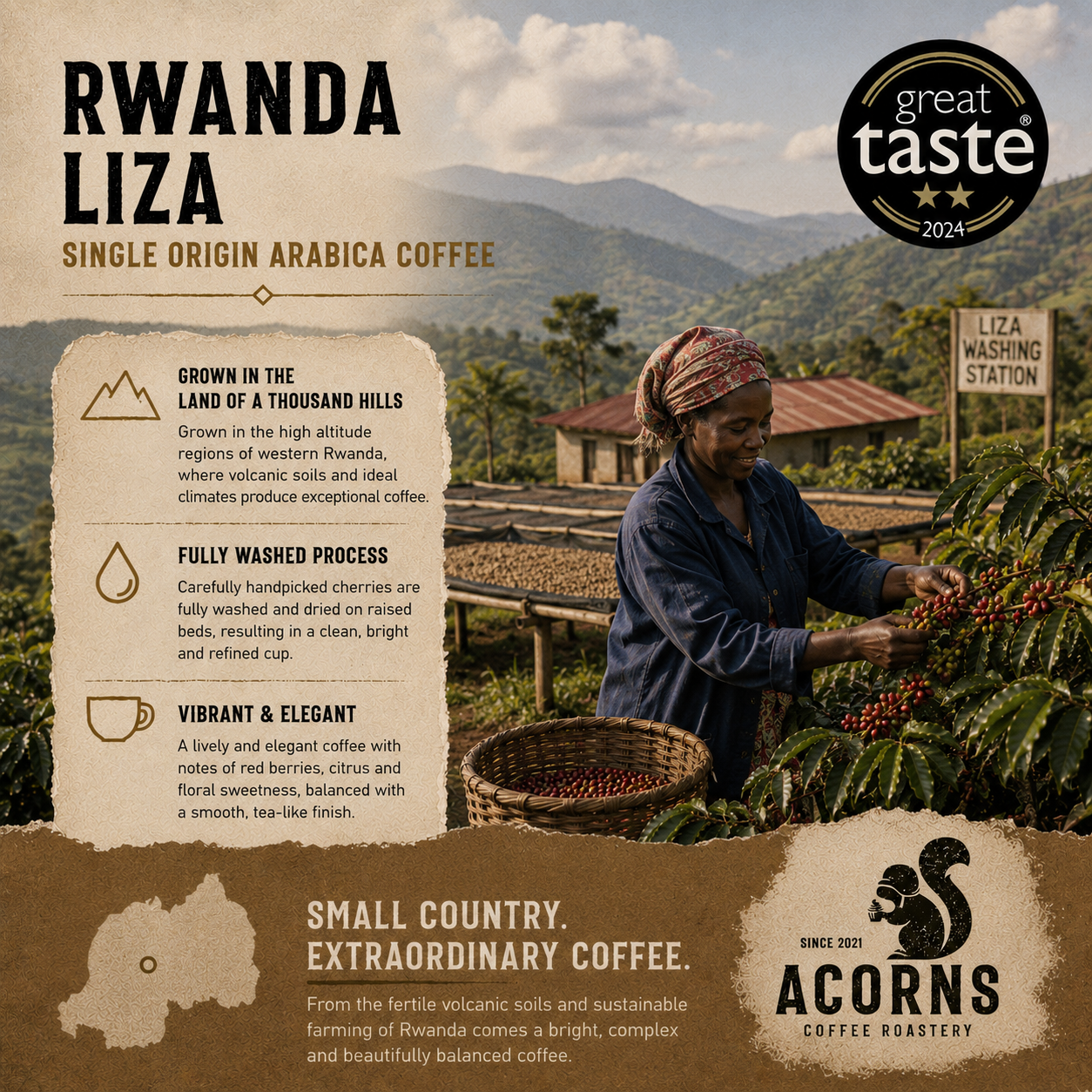 Rwanda Liza Medium Roast