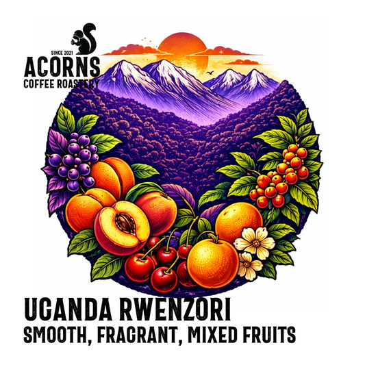 Uganda Rwenzori Kisinga Medium Roast