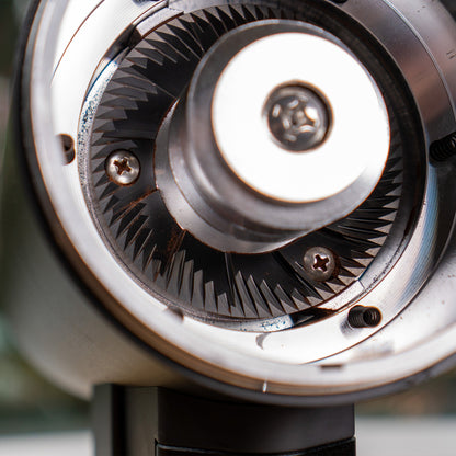 DF83V Variable Speed Single Dose Coffee Grinder