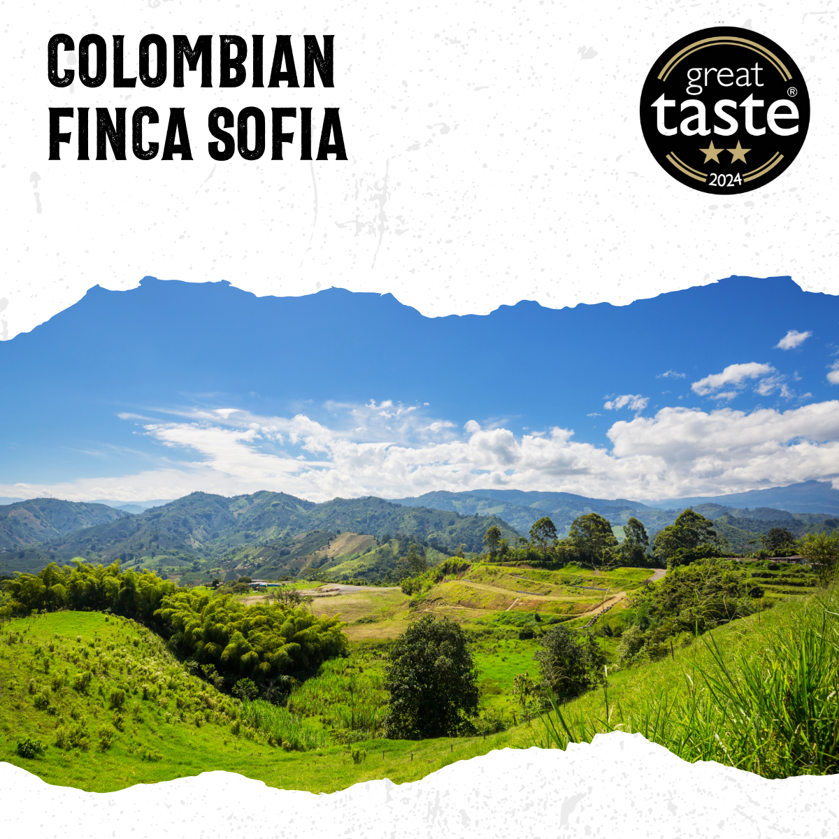 Colombia Finca Sofia