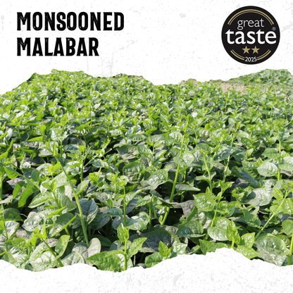 Monsooned Malabar Medium Roast