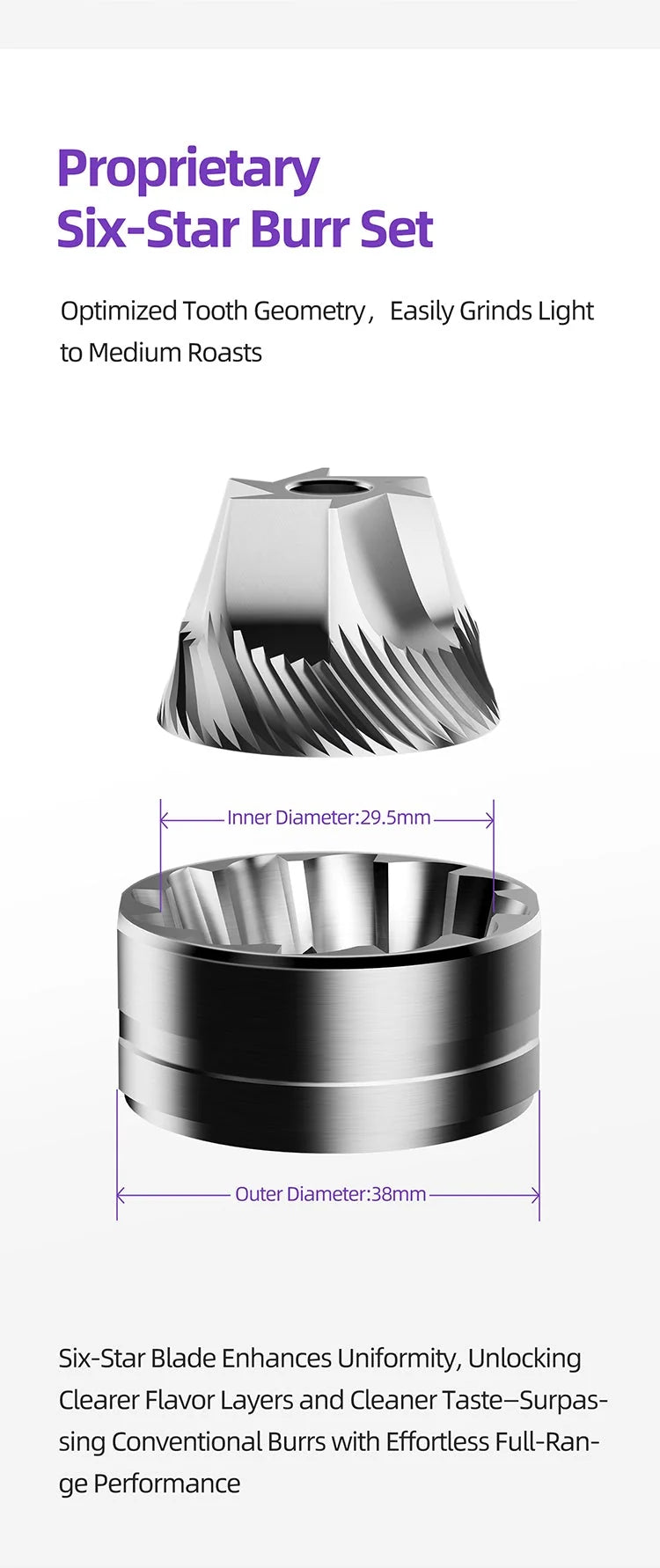 MAVO Six-Star conical burr set with 29.5mm inner and 38mm outer diameter