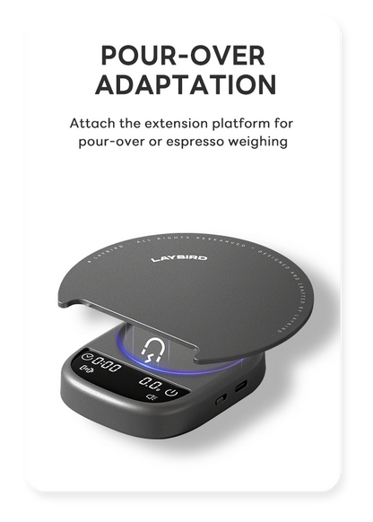 MagAttach Coffee Scale with Versatile Features
