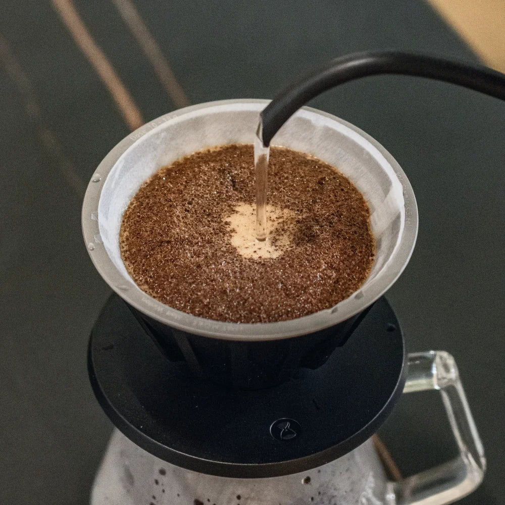 Gooseneck pour onto a bed of ground coffee in a paper filter inside the VECTOR dripper on a glass server